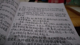 新闻摘抄，科技巨头引领未来，推动数字化转型新篇章，科技巨头引领数字化转型新篇章，开启未来新篇章