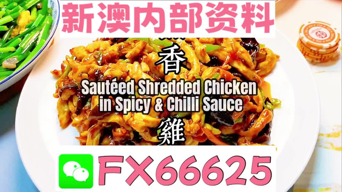 新奥长期免费资料大全，探索与收获，新奥长期免费资料大全，探索之旅与收获的时刻