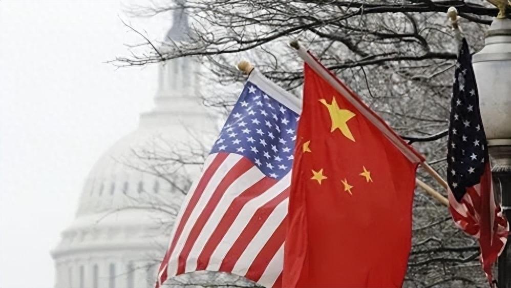 武直-19成员，精英团队的卓越表现，武直-19精英团队的卓越表现风采