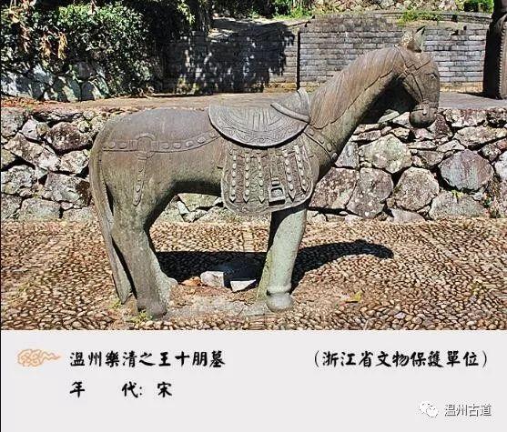 状元红高手坛，探索一个独特的学习与交流平台，状元红高手坛，独特学习交流平台的探索