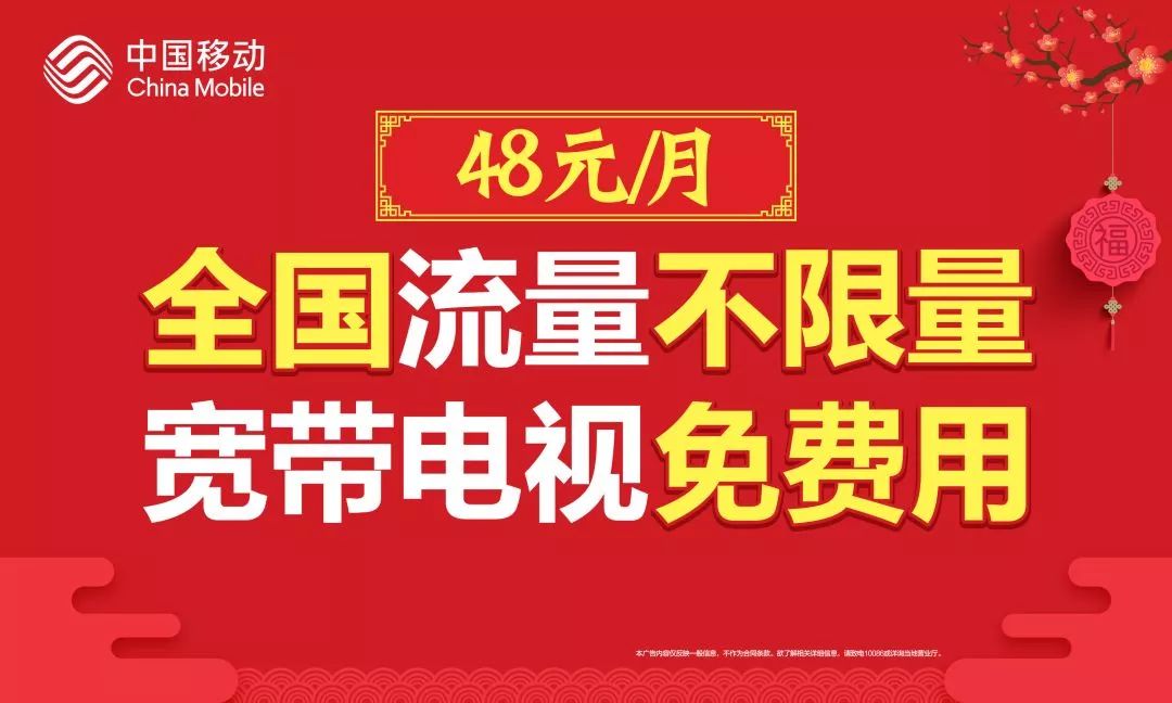 新澳门天天彩免费精准大全谜语，探索与揭秘，新澳门天天彩免费精准大全谜语揭秘与探索