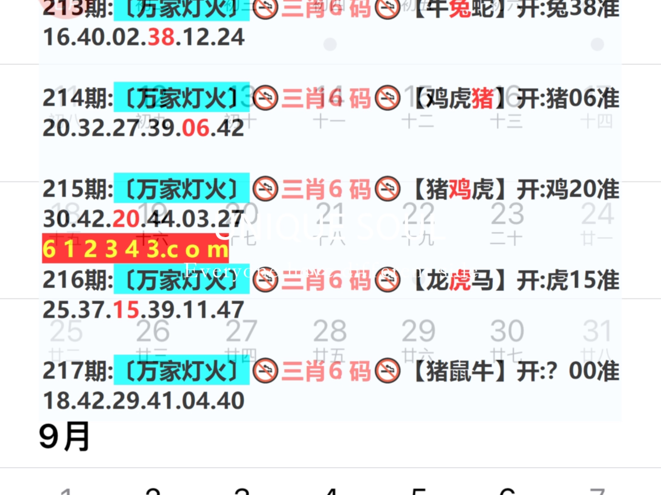 新奥今晚预测一肖一特——揭秘生肖运势与未来走向，新奥今晚预测生肖运势揭秘，一肖一特与未来走向分析