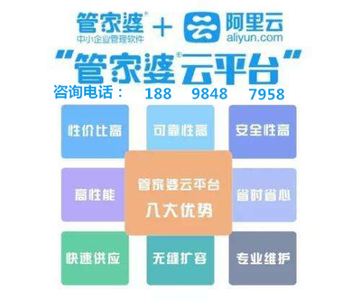 探索精准管家官网，一站式数字化解决方案的领导者，精准管家官网，数字化解决方案的领先平台