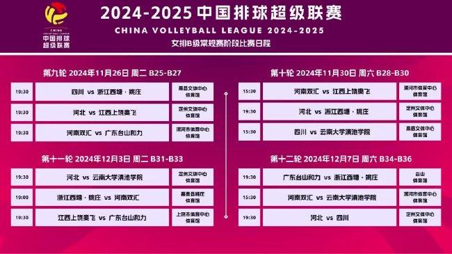 揭秘2025新澳天天精准大全谜语，揭秘新澳天天精准大全谜语，预测未来的秘密在2025年揭晓