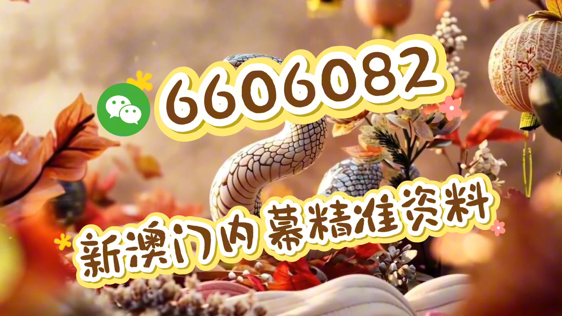 2025新澳门天天精准资枓
