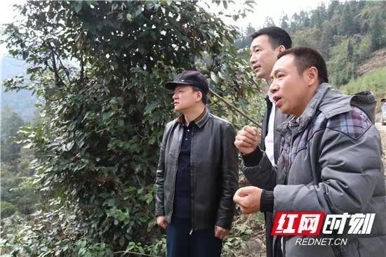 温州舰荣耀归乡，历史与现代的海上传奇，温州舰荣耀归乡，历史与现代的海上传奇之旅