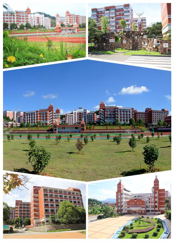 泉州海洋职业学院的魅力与特色，泉州海洋职业学院，魅力与特色一览