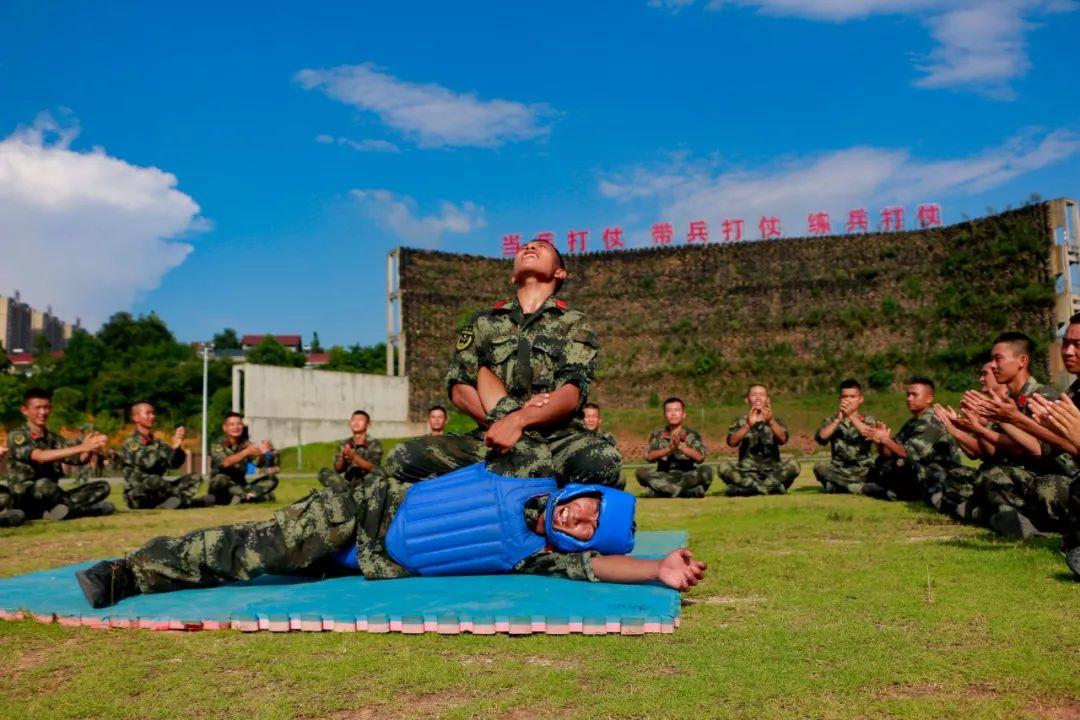 独臂英雄的伴侣，丁晓兵妻子的坚韧与奉献，独臂英雄的伴侣，丁晓兵妻子的坚韧与无悔奉献