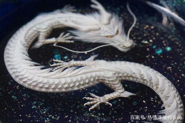 揭秘052白龙，传奇战舰的荣耀与担当，揭秘传奇战舰052白龙，荣耀与担当的传奇之旅