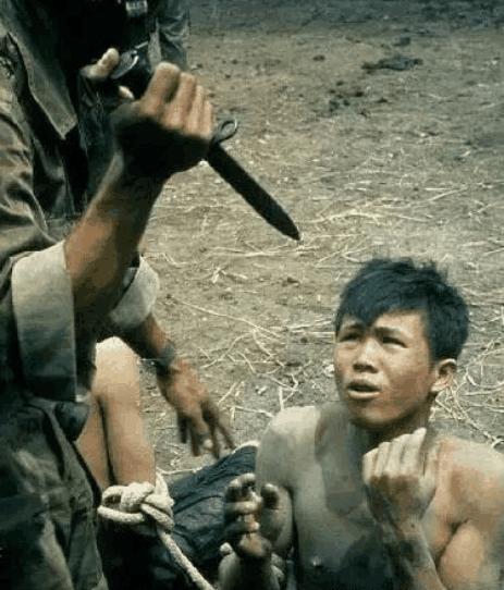 中国女兵在越南，英勇事迹与深刻历程的全文阅读，中国女兵在越南，英勇事迹与深刻历程揭秘