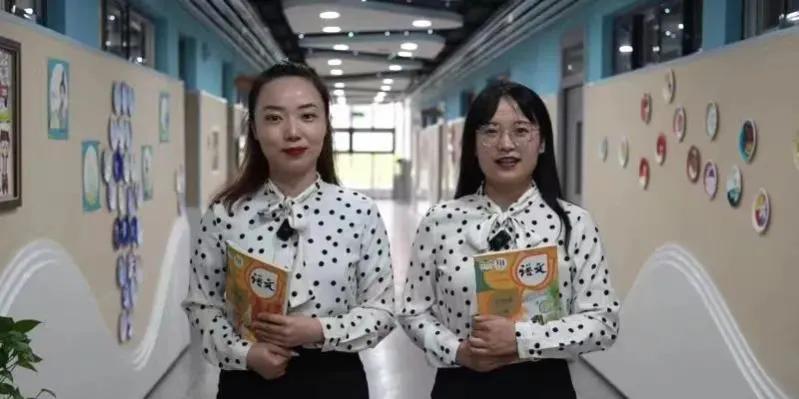 关于38集团王牌军所属师级单位的深度解析，38集团王牌军所属师级单位深度剖析