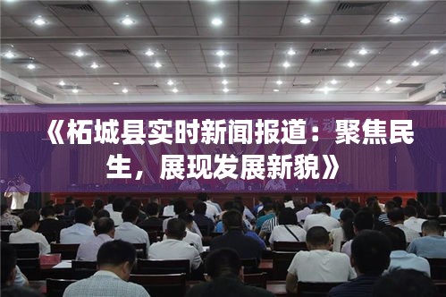 深度解析与揭秘