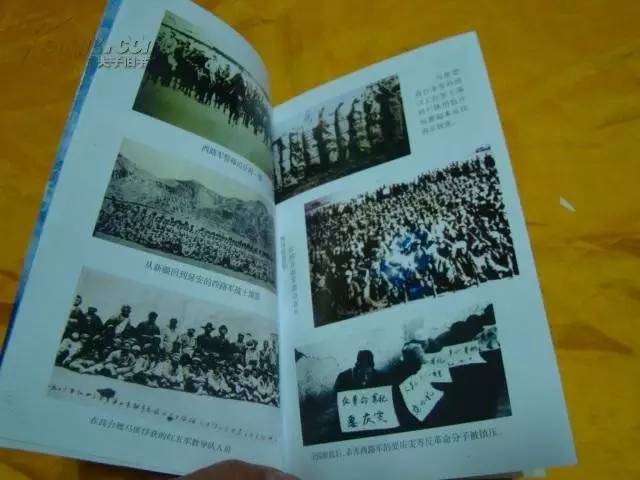 西路军纪录片在线观看,历史与战争的震撼重现,西路军纪录片在线观看,历史与战争的震撼重现之旅