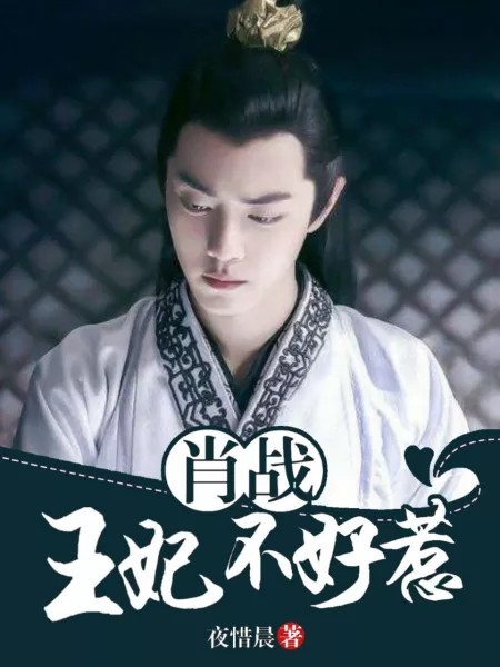 王中王与妃子一肖，宫廷权力与情感的交织，王中王与妃子一肖，宫廷权力与情感的纠葛