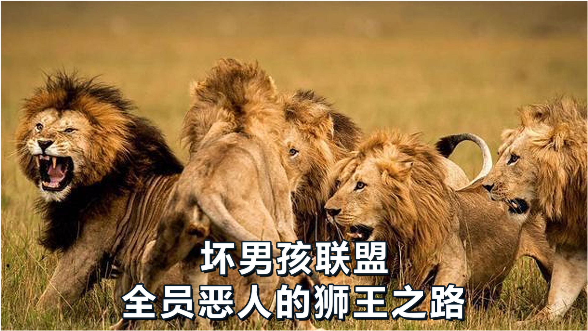 王中王必中一肖四不像图——探寻神秘图腾背后的故事与寓意，神秘图腾揭秘，王中王必中一肖四不像图的背后故事与寓意