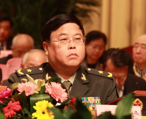 丁晓军将军的伴侣,一位值得尊敬的女性,丁晓军将军的伴侣,一位令人敬佩的女性