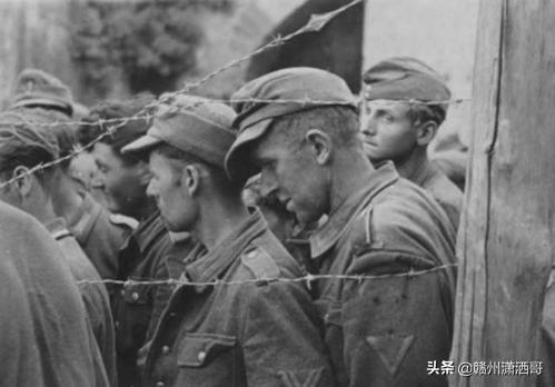 志愿军军歌与纯音乐的交响,志愿军军歌与纯音乐的交响,英勇旋律的交融与传承