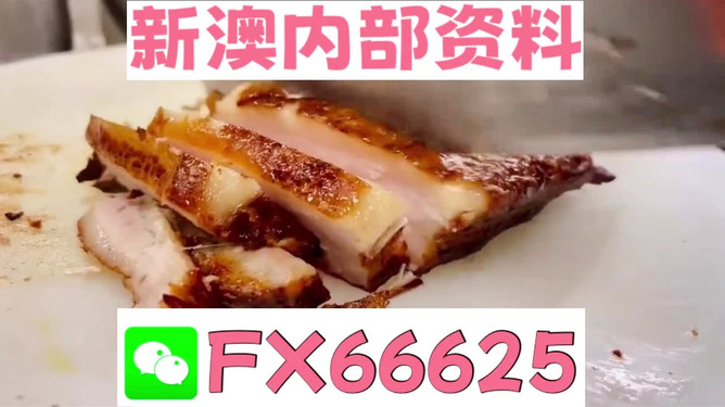 新奥长期免费资料大全，深度探索与实际应用，新奥长期免费资料大全，深度探索与实战应用指南