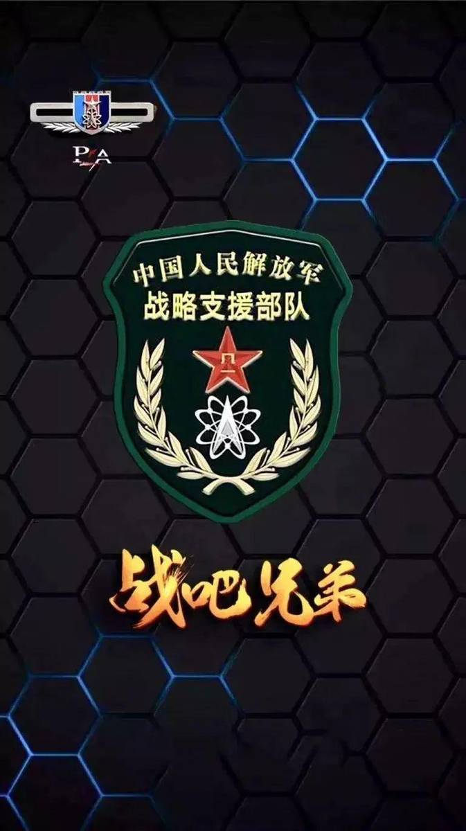 战略支援部队，作为一种特殊的军种，战略支援部队，特殊军种的独特力量