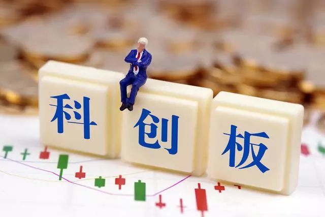 王中王287期指一生肖——探寻背后的神秘与魅力，王中王287期生肖背后的神秘魅力探寻