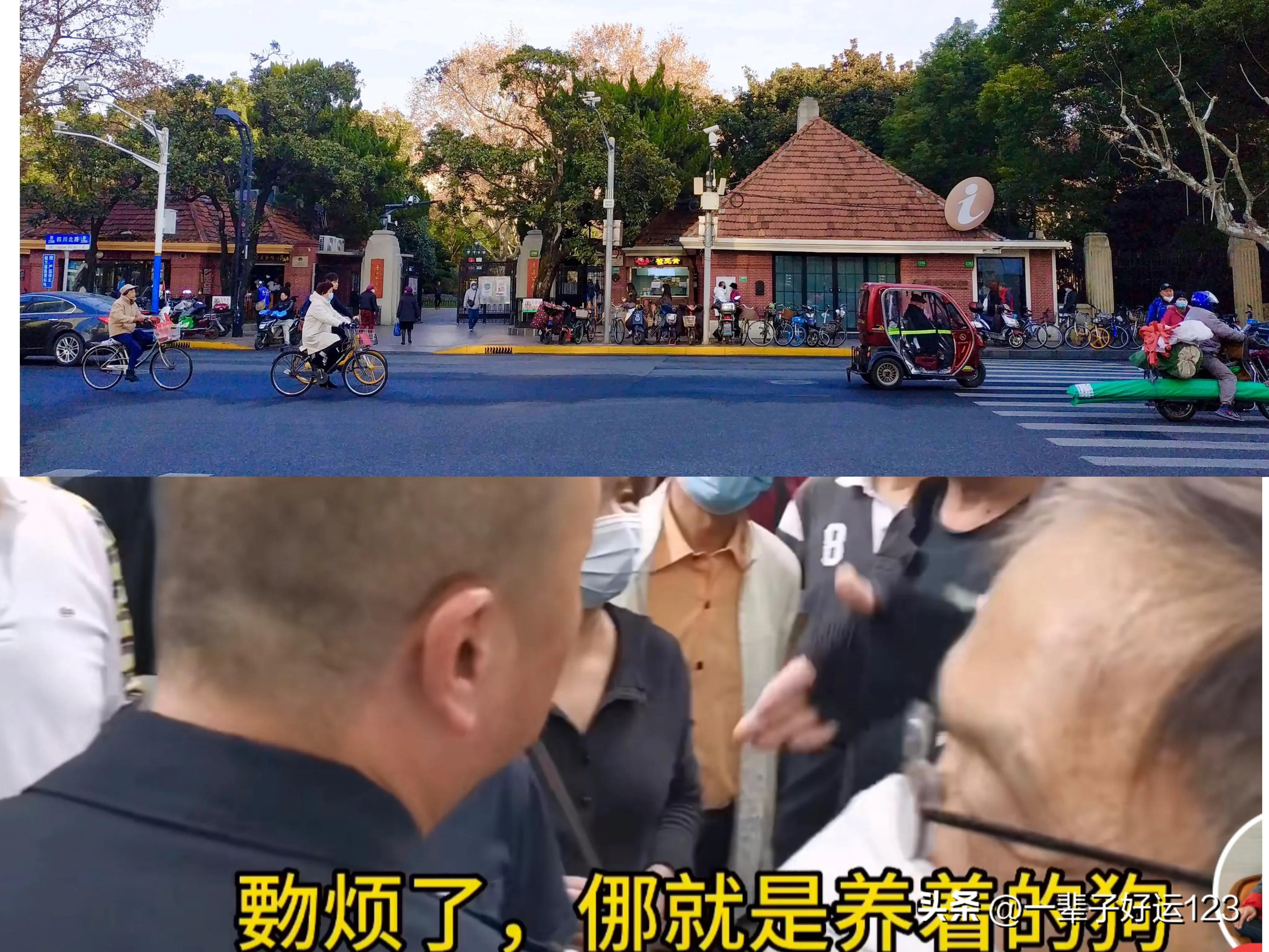 电视剧和平免费全集观看,影视娱乐的新时代,免费观看电视剧和平全集,影视娱乐新时代的开启