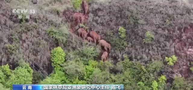 中国最新消息发布部门解析，中国最新消息发布部门深度解析