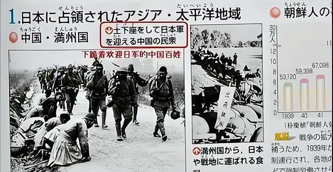 日本心神为何失败,深度解析背后的原因,深度解析,日本心神失败背后的原因