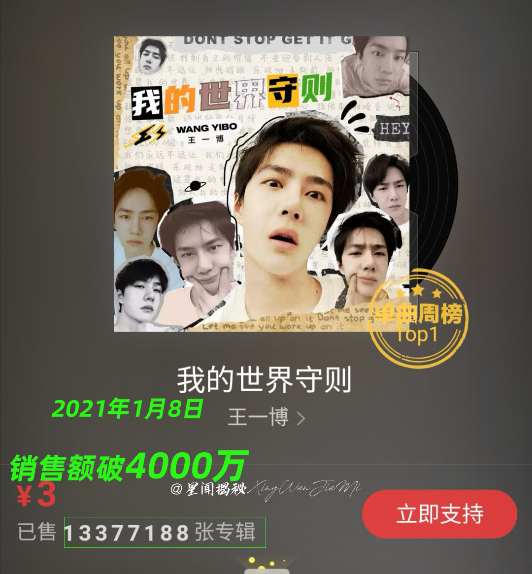 王中王一肖中特百分百的独特魅力与重要性，王中王一肖中特，独特魅力的百分百重要性解析