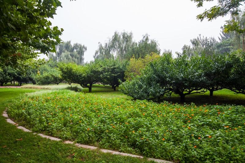 十大将军照片高清,历史与荣耀的瞬间留存,十大将军高清照片,历史瞬间与荣耀的见证