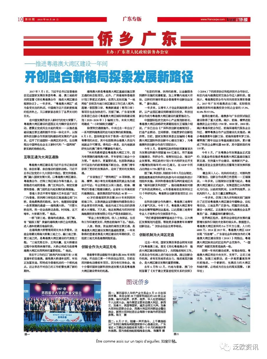 法国最新时事新闻深度解析，法国最新时事新闻深度解读