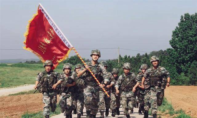 关于中国人民解放军陆军第八十三集团军编制的研究，中国人民解放军陆军第八十三集团军编制深度解析