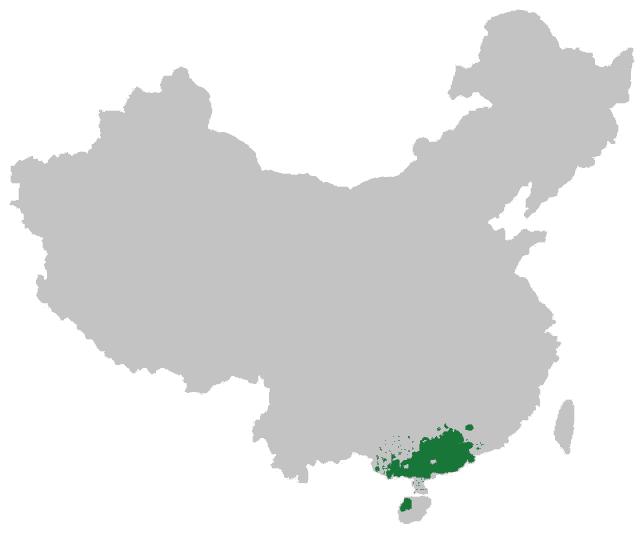 澳门一肖中100%期期准海南特区号——探索幸运之门,澳门一肖精准预测,探索海南特区号的幸运之门