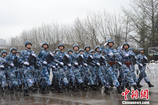 舰艇学院国内数量及其影响力探讨,舰艇学院国内数量及其影响力深度探讨