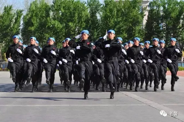 中国人民武装警察部队学校的全面解析,中国人民武装警察部队学校全面解析概览