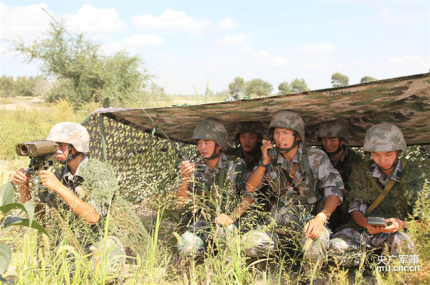 揭秘中国陆军第64军炮兵旅,历史沿革、现代转型与未来展望,中国陆军第64军炮兵旅,历史沿革、现代转型与未来展望揭秘