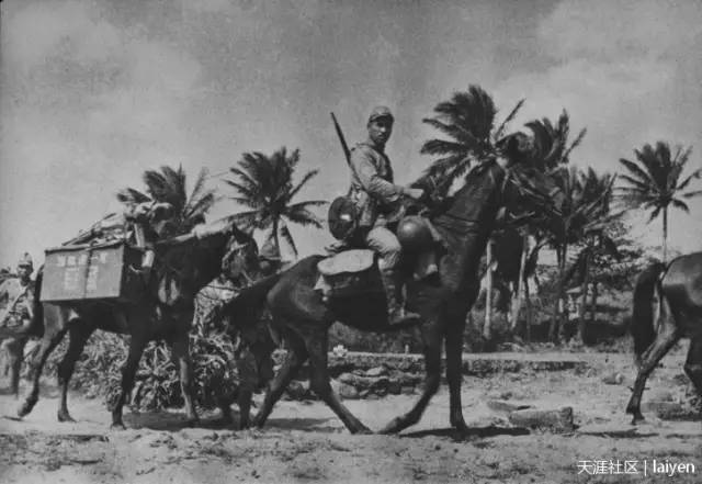 海南岛革命历史,波澜壮阔的斗争篇章,海南岛革命历史,波澜壮阔的斗争篇章