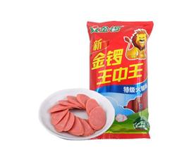 王中王一肖图中特的探索之旅，王中王一肖图中特的神秘探索之旅