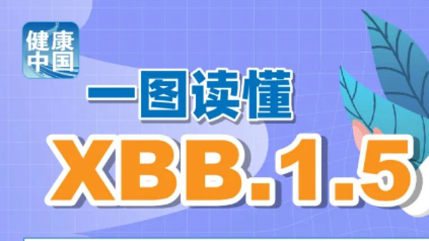 深度探索与挖掘