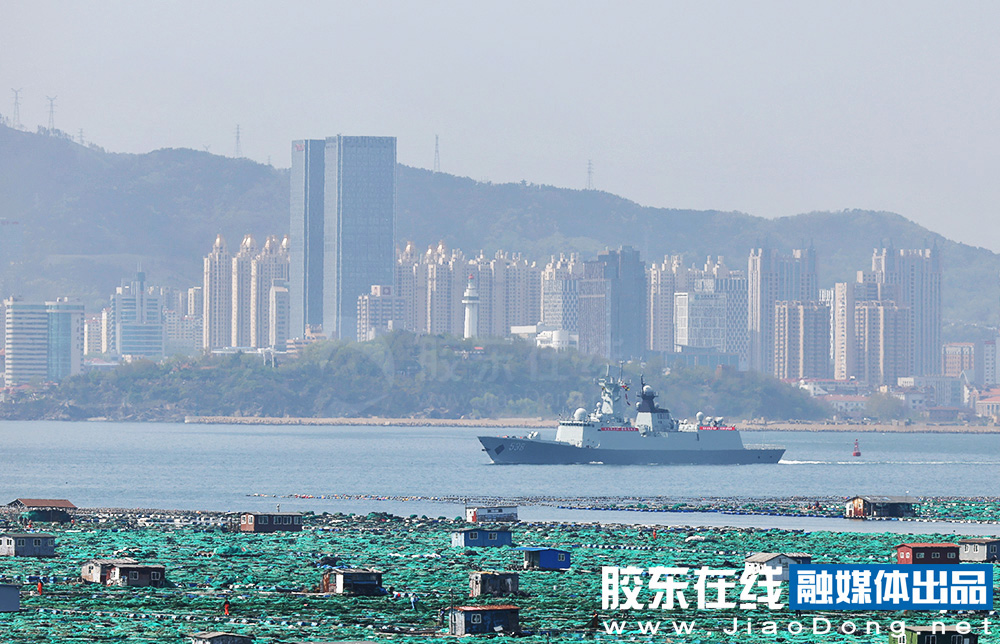社会影响