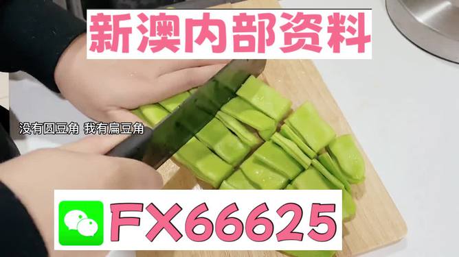 新澳精选资料免费提供，助力学术研究与个人成长的无价资源，新澳精选资料助力学术研究与个人成长的无偿资源分享