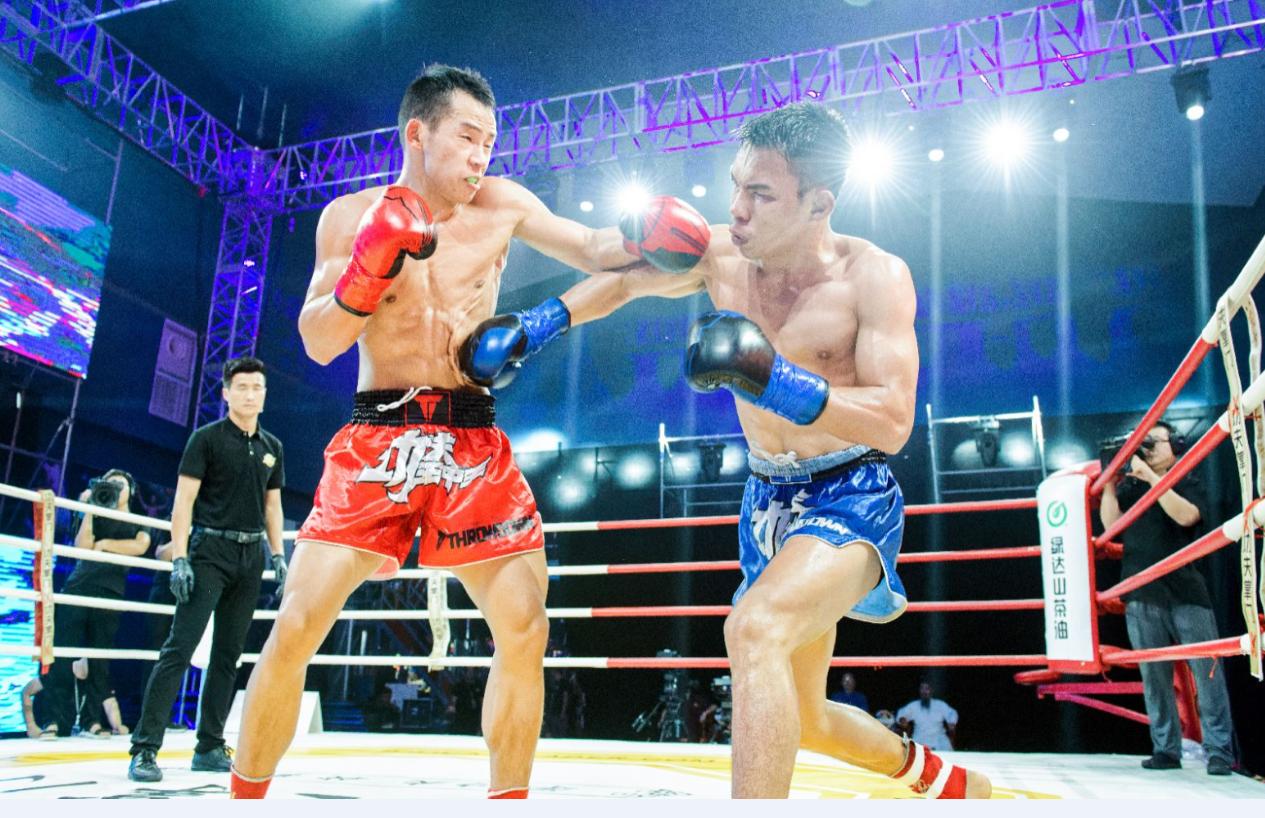 王中王欲钱猜一肖，揭秘生肖之谜与财富游戏，揭秘生肖之谜与财富游戏，王中王欲钱猜一肖探秘之旅