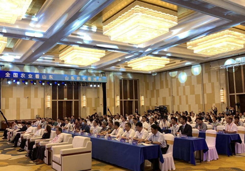 海峡新干线2023年最新一期回放，速度与激情的再度碰撞，海峡新干线2023年最新一期回放，速度与激情的再度交锋