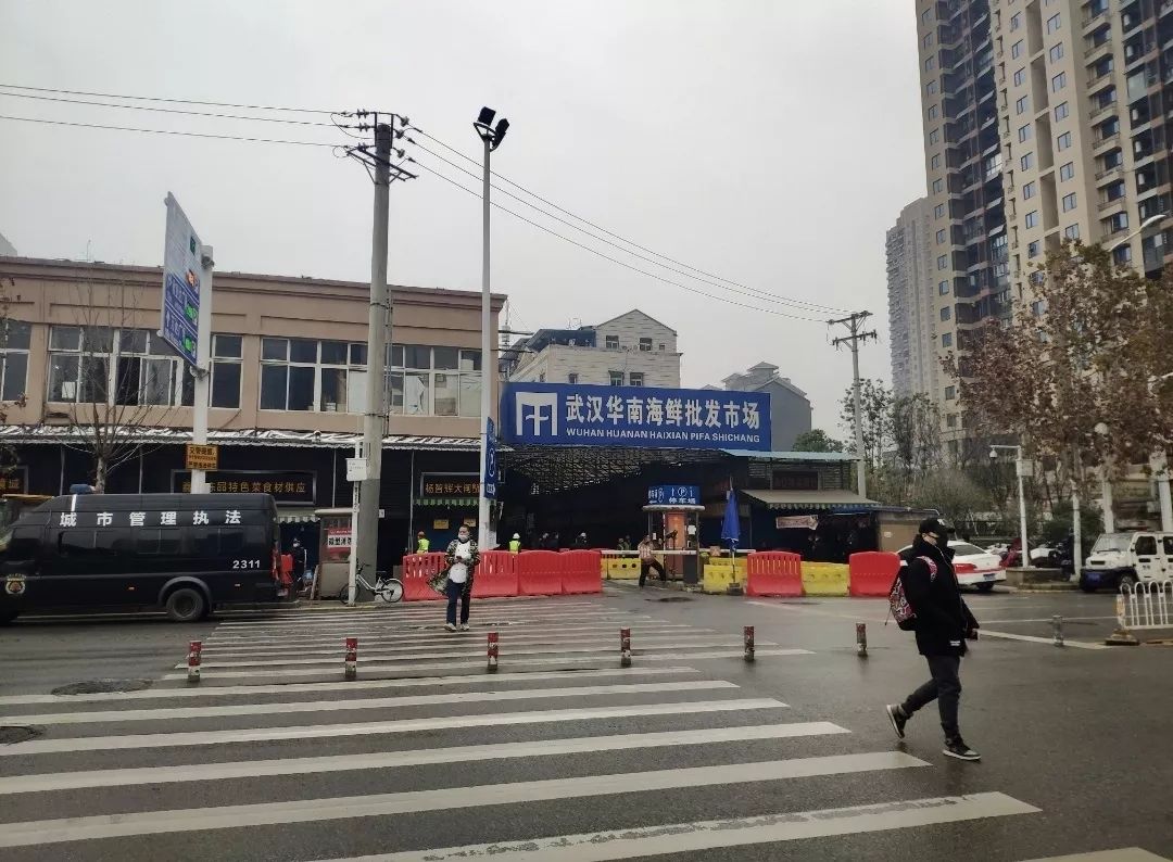 华南海鲜市场女老板生死之谜，探寻真相与反思，华南海鲜市场女老板生死之谜，探寻真相与反思社会事件背后的真相与反思