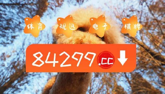 二肖一码，探索神秘数字世界的奥秘，二合一的神秘数字世界探索，揭秘二肖一码的魅力