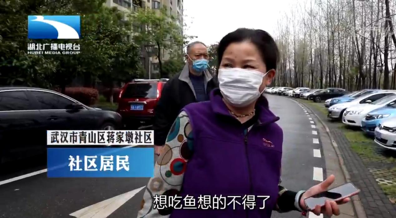 CCTV7科技视频，央视网科技频道的独特魅力与影响力，CCTV7科技视频，央视网科技频道的独特魅力和影响力解析