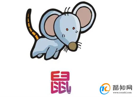 澳门老鼠报一肖一码，揭秘背后的神秘与真相，澳门老鼠报一肖一码揭秘背后的神秘真相