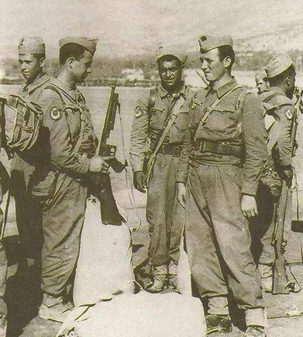 多维度深度解析