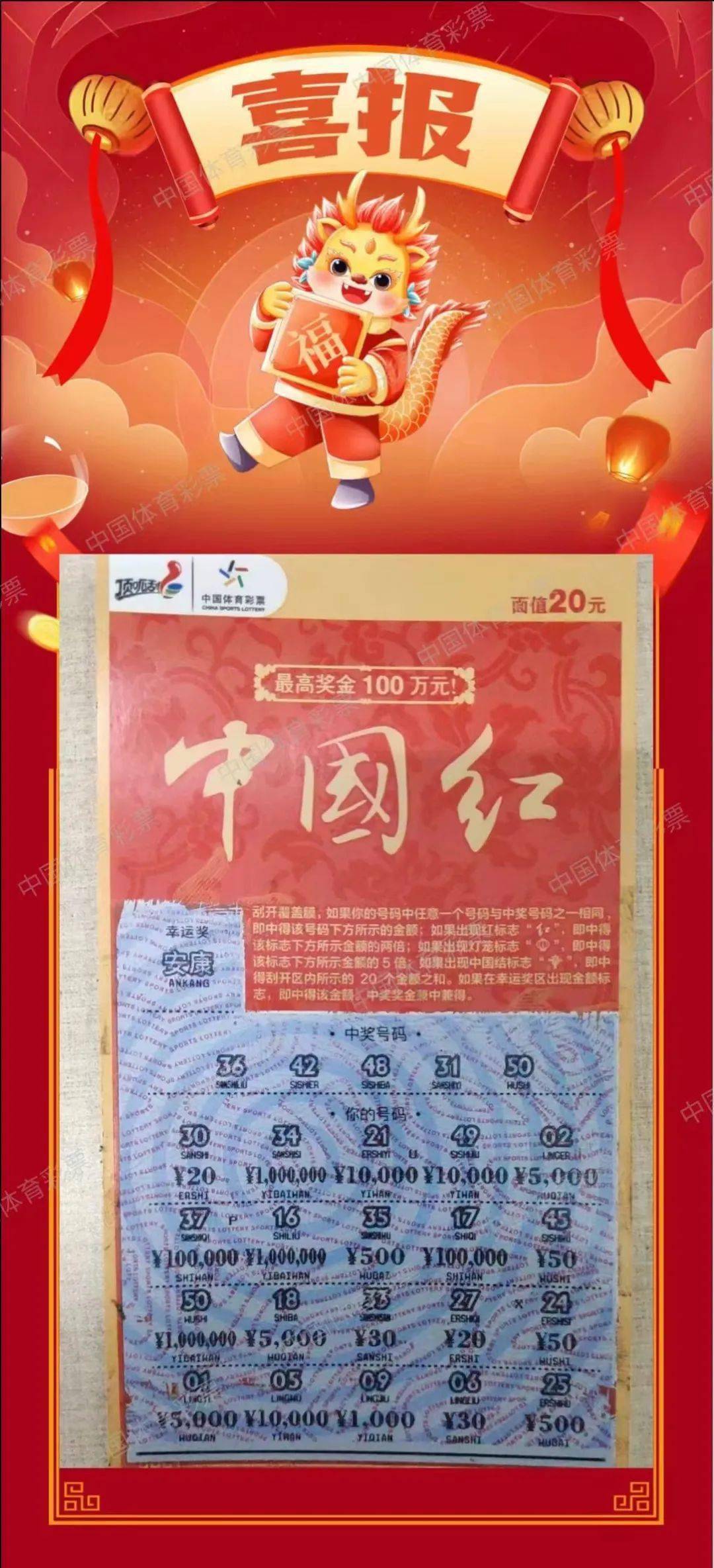 红灯笼平特一肖王中王，传统象征与现代解读，红灯笼平特一肖王中王，传统象征的现代解读