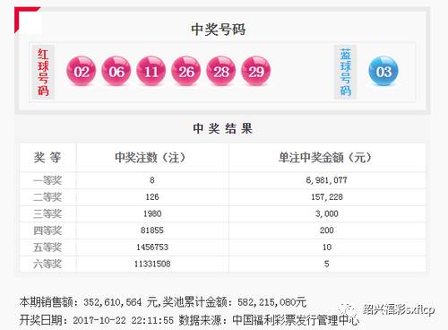 王中王资料与一肖中单双探究，王中王资料与一肖中单双揭秘
