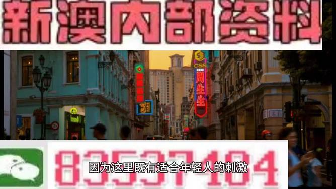 澳门内部资料精准大全2023，深度探索与预测分析，澳门内部资料深度探索与预测分析2023